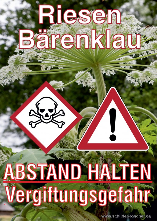 Schild Riesenbärenklau Vergiftungsgefahr