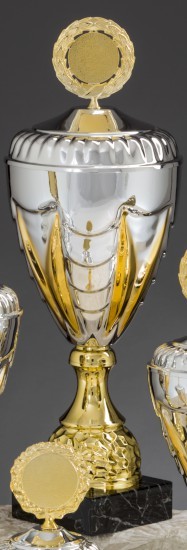 6er Pokal-Serie "NICOLE" 57910 gold-silber 57911 - Höhe: 508 mm
