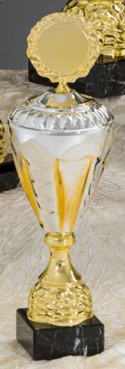 6er Pokal-Serie "NICOLE" 57910 gold-silber 57915 - Höhe: 316 mm