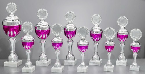 Pokal "AMAYA" 59620 silber-pink 59620 - 10er Serie