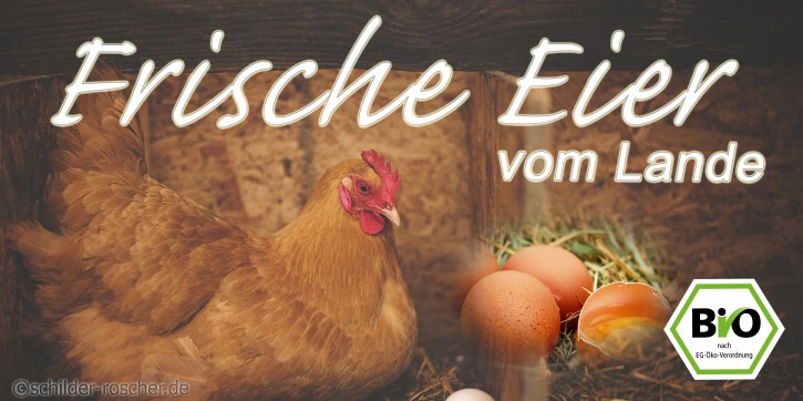 Werbebanner 200 × 100 cm – Standardmotiv | Optional individuell gestaltbar | Eier zu verkaufen