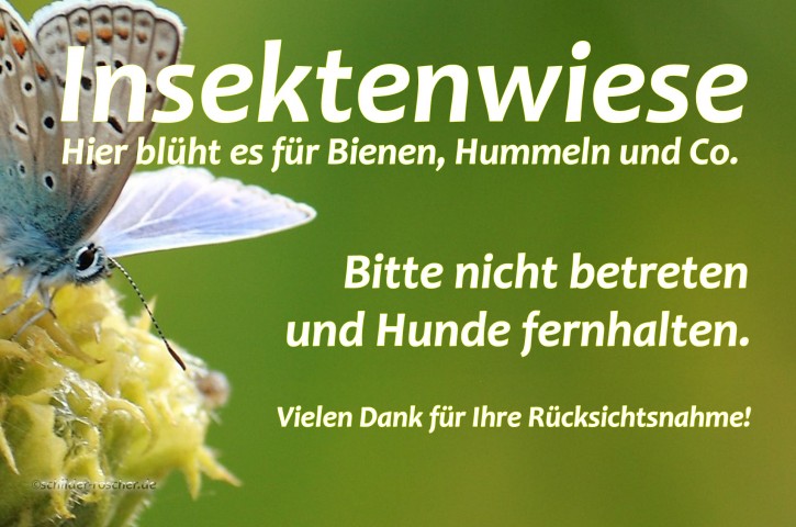Schild Insektenwiese Natur#11 420 x 297 mm Schild Insektenwiese Natur#11 420 x 297 mm