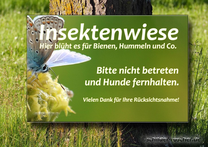 Schild Insektenwiese Natur#11 297 x 210 mm Schild Insektenwiese Natur#11 297 x 210 mm