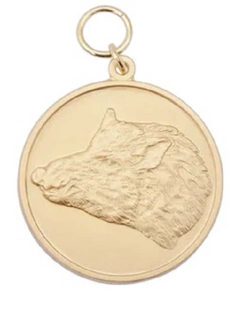 Medaille "Keiler", vergoldet mit Öse & Ring Ø 39 mm, 54788-11