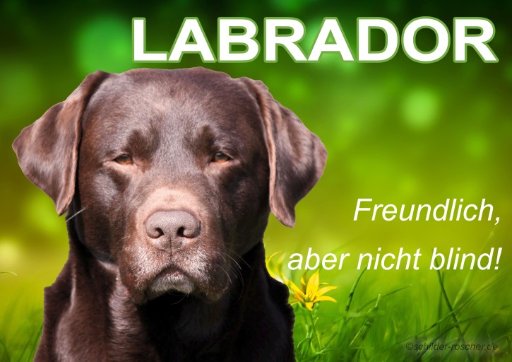 Hundeschild – „LABRADOR - freundlich, aber nicht blind“ | Aludibond Warn- & Spaßschild
