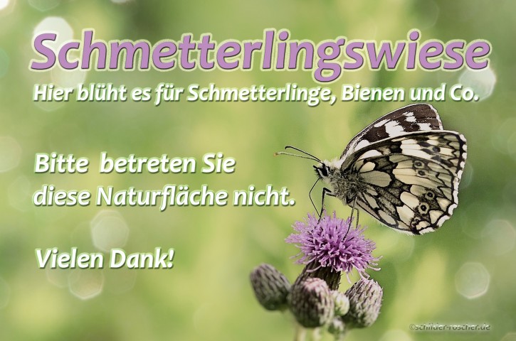 Schild Schmetterlingswiese Natur#6 - 297 x 210 mm