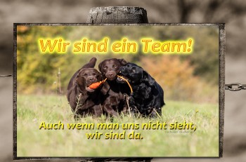 Warnschild - Labrador Rudel - Wir sind ein Team - 2 Größen -