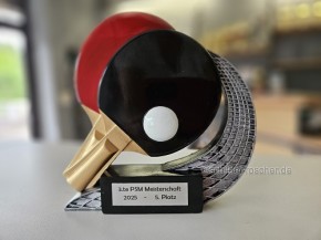 Pokal Figurencup "Tischtennis "Höhe: 155 mm 39766