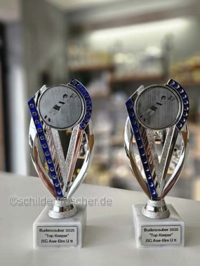 Pokal Ständer-Trophäe Silber-Blau – 195 mm