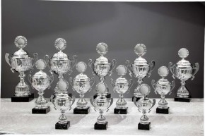 "Lorena" 59211 silber mit Henkel Einzelpokal Höhe 270 mm