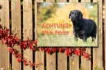 Warnschild - Labrador schwarz - Achtung  Mein Revier - 2 Größen -