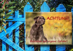 Hundewarnschild Tierschild nach eigenen Wünschen Warnung vor dem Hund Katze Maus
