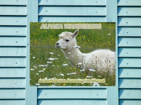 Banner / Planen individuell nach Kundenwunsch PVC-Frontlit-Banner 510 g/m² B1 / 3000 mm x 1000 mm