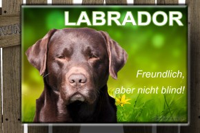 Hundeschild – „LABRADOR - freundlich, aber nicht blind“ | Aludibond Warn- & Spaßschild