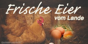 Banner "Frische Eier vom Lande"