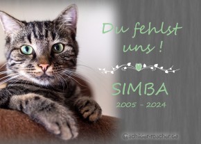 Tiergrabschild Gedenktafel Hund Katze Tiergrabschild Gedenktafel Hund Katze