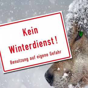 Hinweisschild - Kein Winterdienst! Benutzung auf eigene Gefahr