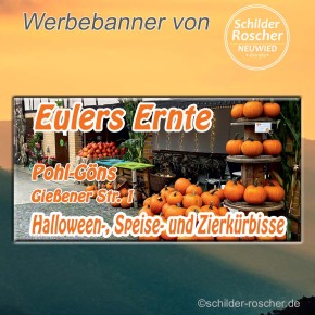 Banner / Planen individuell nach Kundenwunsch PVC-Frontlit-Banner 510 g/m² B1 / 4000 mm x 1000 mm