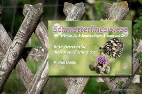 Schild Schmetterlingswiese Natur#6