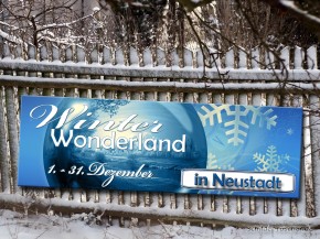 Banner / Planen individuell nach Kundenwunsch PVC-Frontlit-Banner 510 g/m² B1 / 3000 mm x 1000 mm