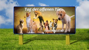 Banner / Planen individuell nach Kundenwunsch PVC-Frontlit-Banner 510 g/m² B1 / 3000 mm x 1000 mm